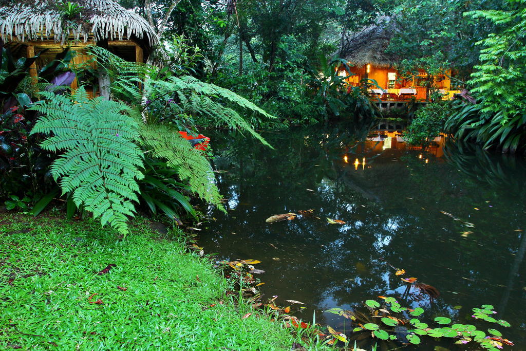 Hacienda La Isla Lodge Sarapiqui Luaran gambar