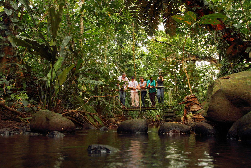 Hacienda La Isla Lodge Sarapiqui Luaran gambar